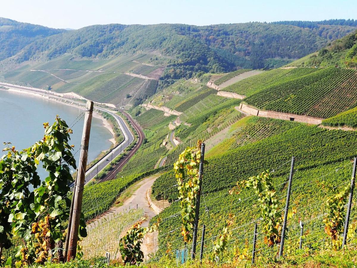 Ferienwohnung RheinWeinBoppard 2 - mit Rheinblick Exterior foto